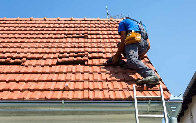 PROCHIRA DAK FAÇADE: Dakwerken, zinkwerken, dakonderhoud: reiniging, ontmossing en waterdichting, dakschildering, waterdichting van platte dakterrassen, timmerwerk, gevelschildering, gevelwaterdichting en buitenreiniging in heel België: Vlaams, Waals en Brussels Gewest….