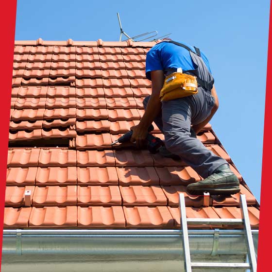 PROCHIRA DAK FAÇADE: Dakwerken, zinkwerken, dakonderhoud: reiniging, ontmossing en waterdichting, dakschildering, waterdichting van platte dakterrassen, timmerwerk, gevelschildering, gevelwaterdichting en buitenreiniging in heel België: Vlaams, Waals en Brussels Gewest….