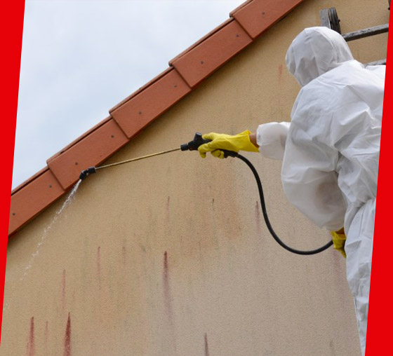 Gevelschildering en -renovatie - PROCHIRA DAK FACADE: schilder in België: reiniging, ontmossing, antimosbehandeling, gevelschildering en waterdichting. Interventie in BELGIË: Vlaams, Waals en Brussels Gewest…