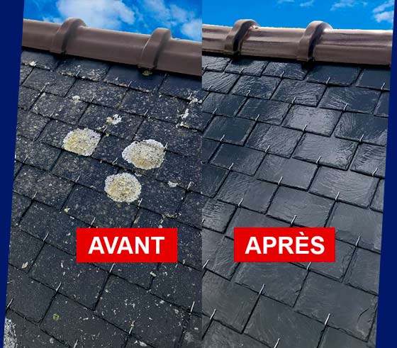 Dakreiniging - PROCHIRA DAK FAÇADE, een professionele dakdekker in België: dakreiniging, mosverwijdering en antimosbehandeling. Aanbrengen van een gekleurde waterafstotende dakverfcoating, interventie in BELGIË: Vlaanderen, Wallonië en Brussel.